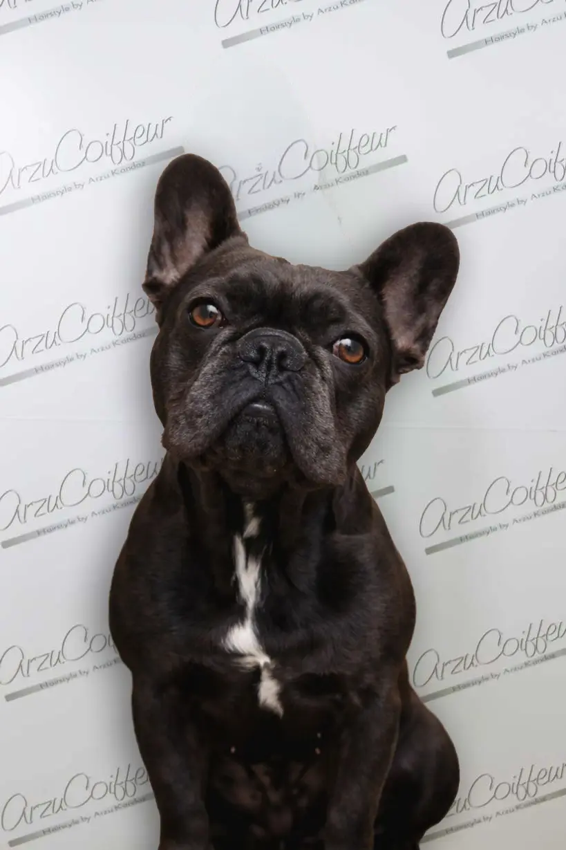 Platzhalter Profilbild